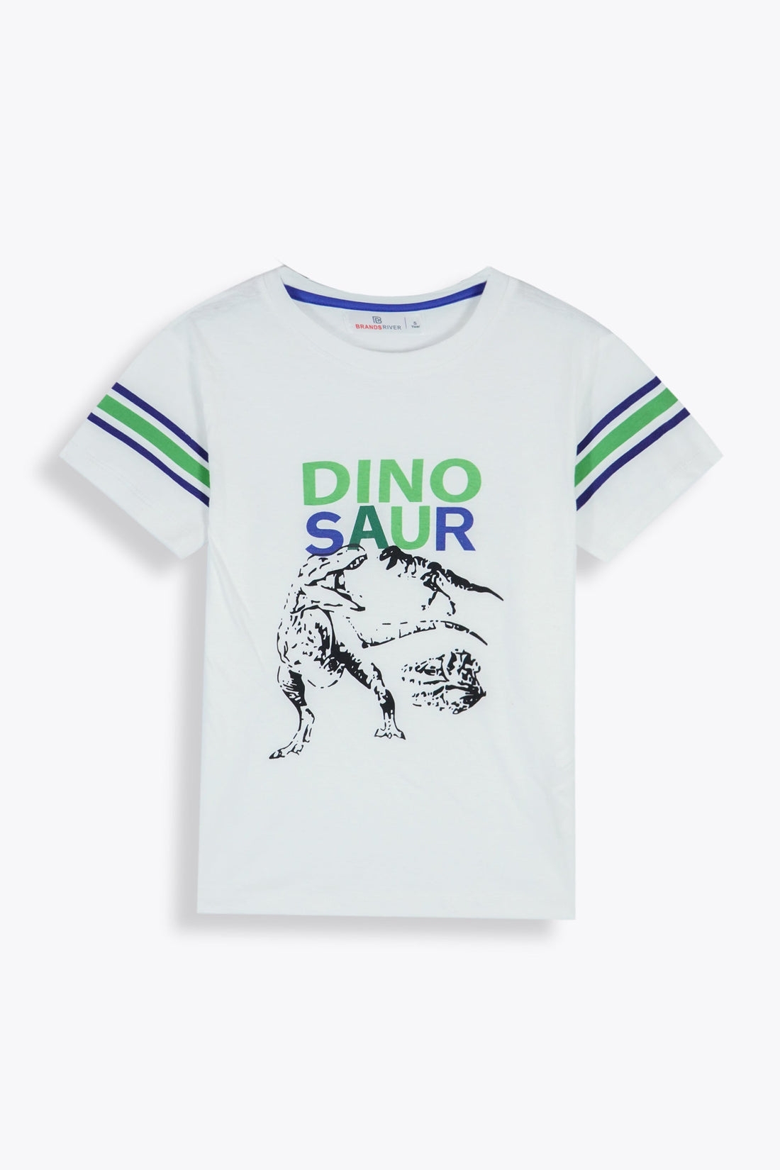 Premium Quality 'Dinosaur' Printed Boys summer suit